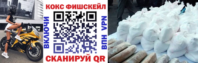 что такое   Светлогорск  КОКАИН Эквадор 