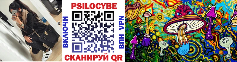 Псилоцибиновые грибы ЛСД  ОМГ ОМГ ССЫЛКА  Светлогорск 